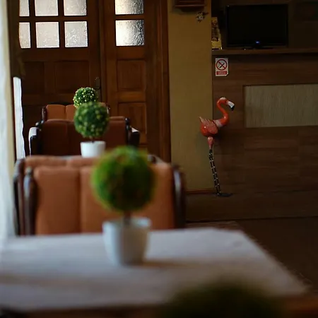 Hotel Flamingo 3*
